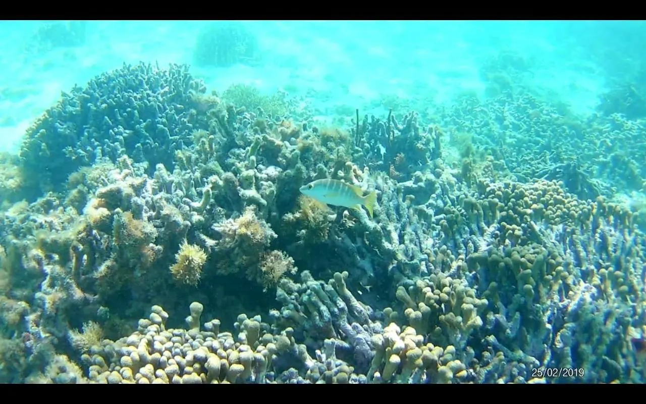 Villa Le Val De Lys-Piscine Privee Vieux-Habitants 0*,  Guadeloupe
