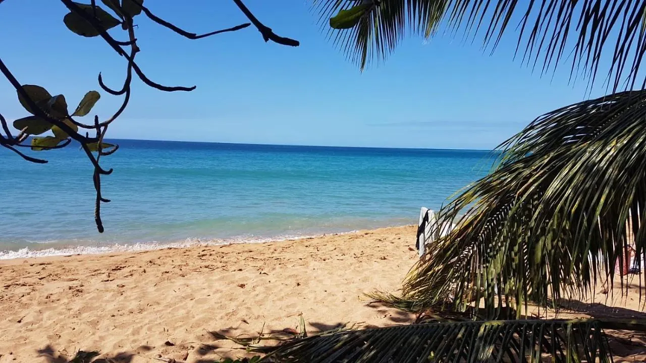 Ferienhaus Villa Le Val De Lys-Piscine Privee Vieux-Habitants Guadeloupe